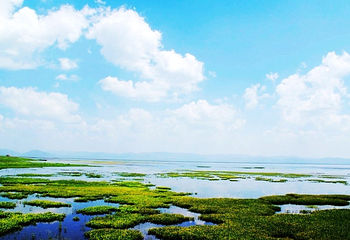 尕海第 1 张图片