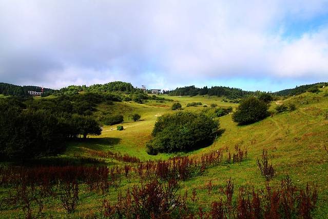 武陵山国家森林公园