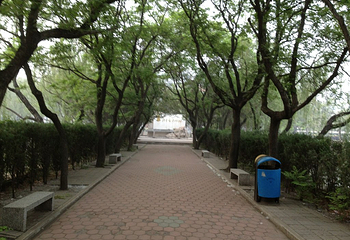 天津大学第 4 张图片