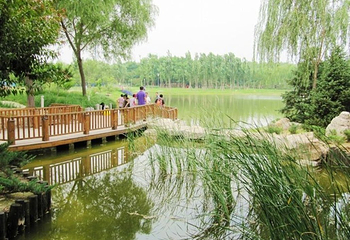 海淀公园第 7 张图片