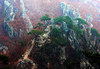 大连天门山国家森林公园第 5 张图片