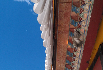 仓姑寺第 9 张图片