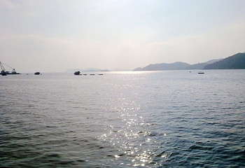 大梅沙海滨公园第 26 张图片