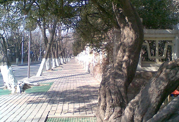 青岛太平角公园第 4 张图片