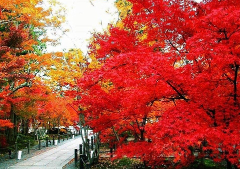 香山公园