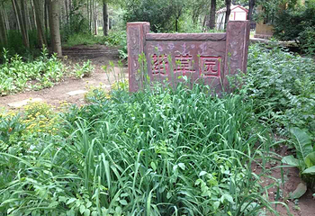 阿尔丁植物园第 3 张图片