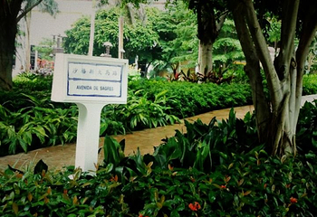 二龙喉公园第 3 张图片