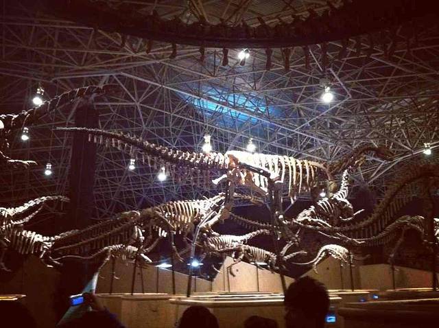 中国禄丰侏罗纪恐龙遗址公园