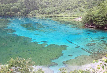 五花海第 3 张图片