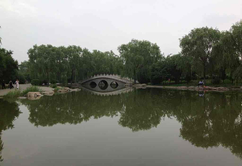阿尔丁植物园第 4 张图片