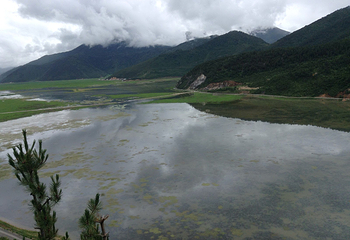 纳帕海(依拉草原)第 12 张图片