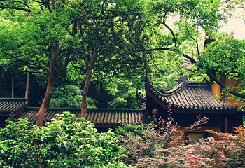 东岳庙第 3 张图片