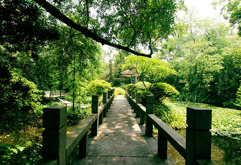 广州兰圃第 30 张图片