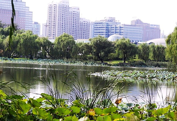 朝阳公园第 56 张图片