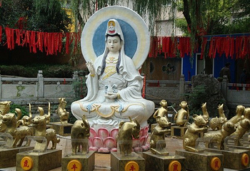 宝通禅寺第 5 张图片