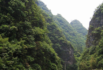 香纸沟枫叶谷旅游度假区第 34 张图片