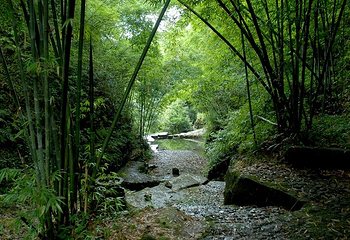 香纸沟枫叶谷旅游度假区第 12 张图片