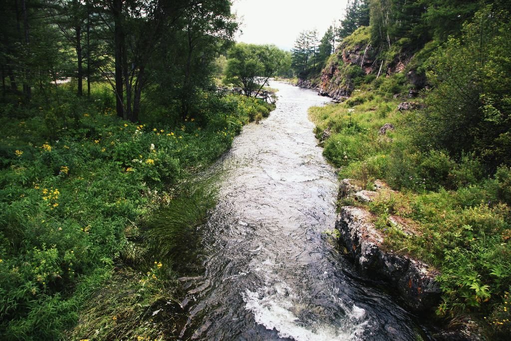 红花尔基樟子松国家森林公园